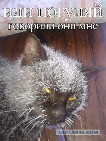 Поднимаем настроение