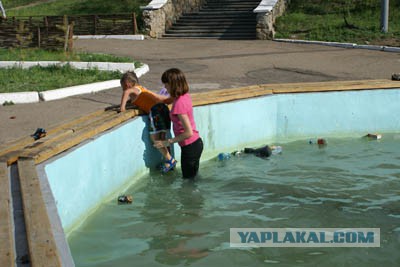 Неинтересные факты