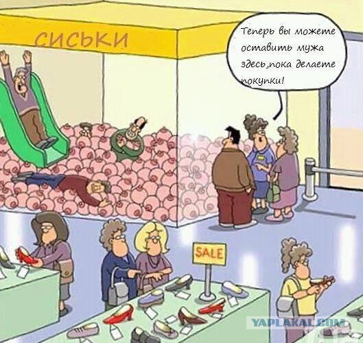 Весёлое из сети