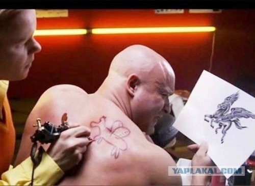 10 фотографий, сделанных "за секунду до..."