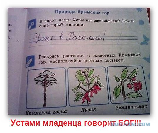 Подборка картинок на понедельник.
