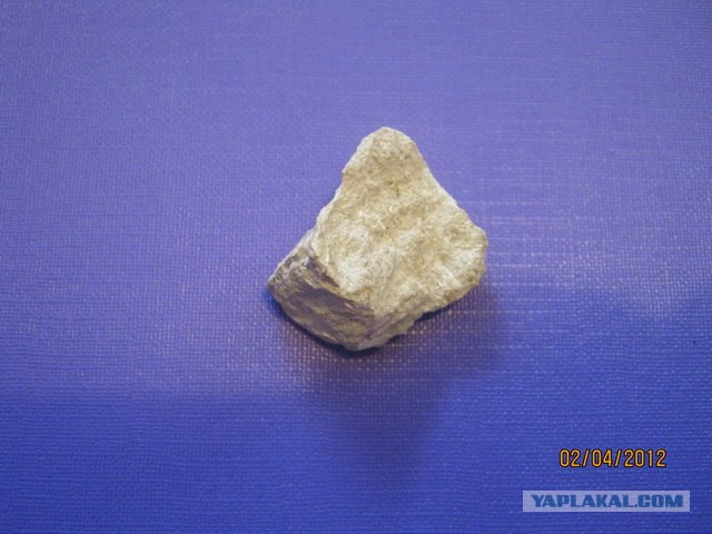 Каменная летопись