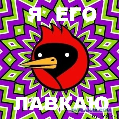 Лавкаю его