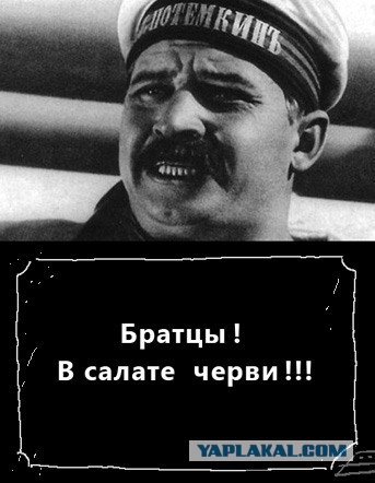 «Это даже нюхать нельзя»: корм украинских солдат
