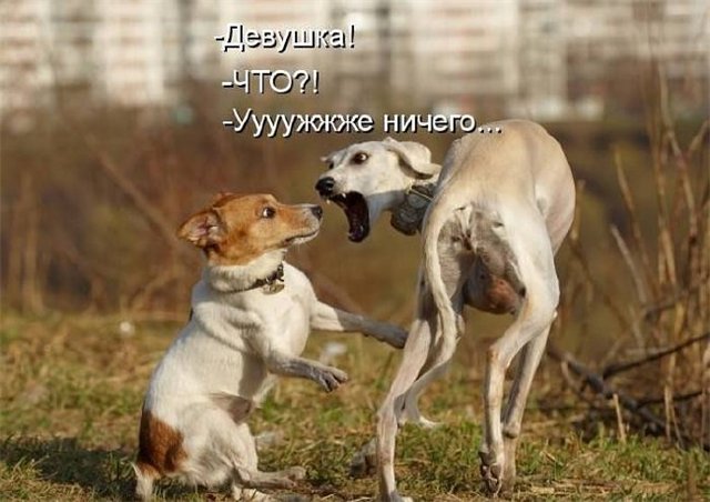 Картинки с просторов на четверг