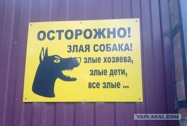 Прикольные объявления и надписи