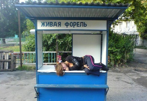 Ужасы и приколы из соцсетей 18+