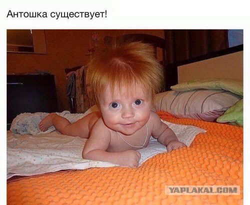 Подборка прикольных фото на среду