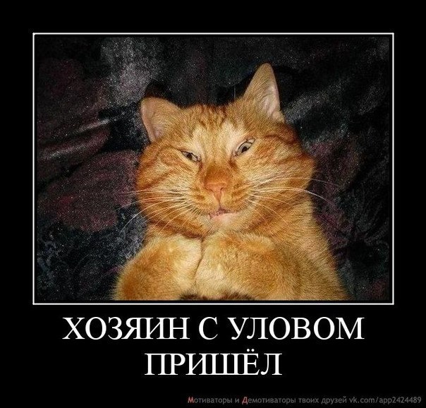 картинки на выходные