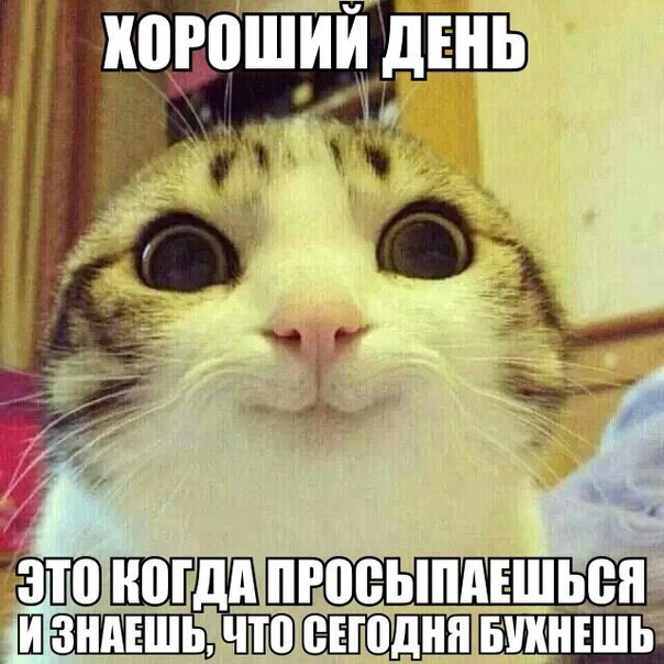 Картинки на пятницу