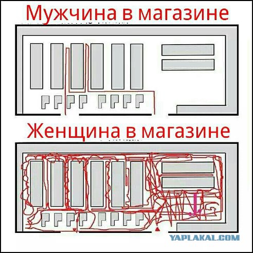 Женская логика. Мифы и реальность.