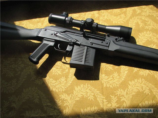 Исчезающая собака