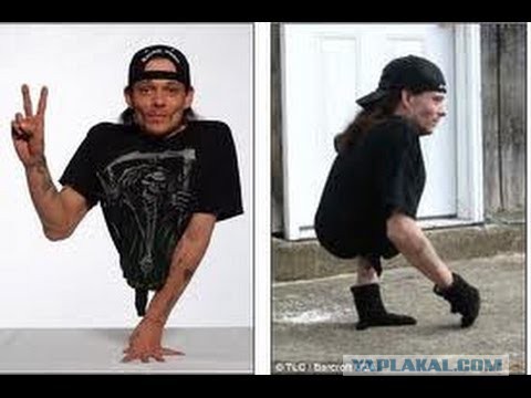Жизнь одинокой дамы в иллюстрациях