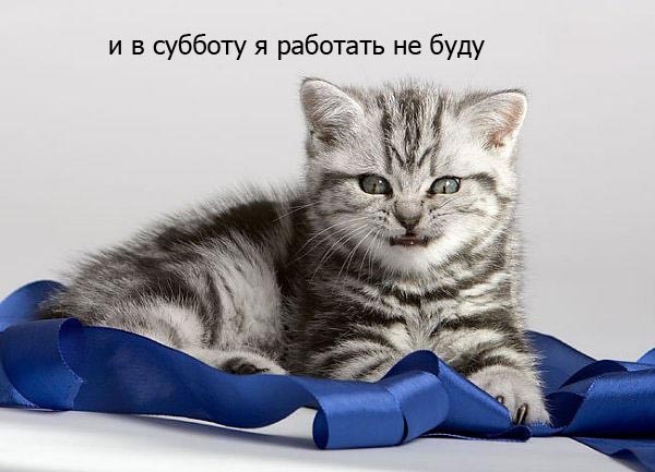 Картиночки из этих...ваших.....