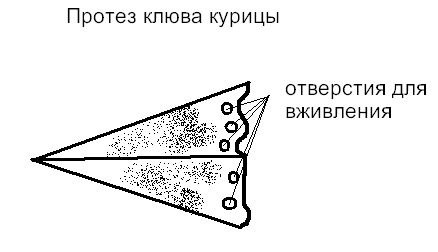 Очень нужен совет