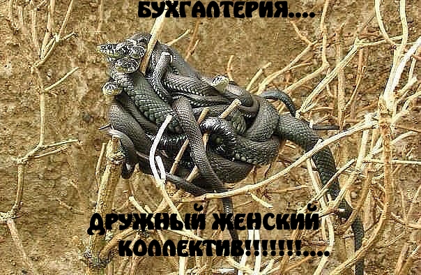 Когда ошибся дверью.