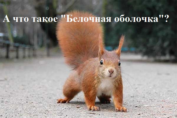 Сломала мужу половой орган