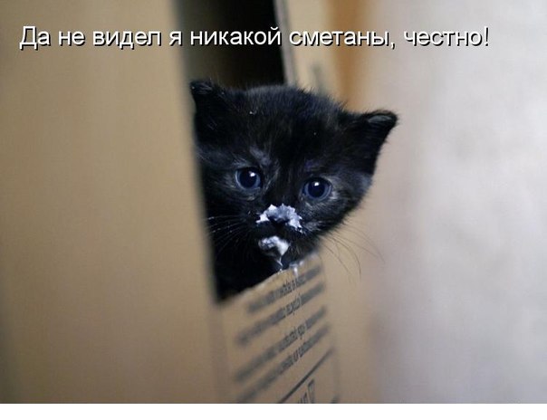 Порция картинок из сети