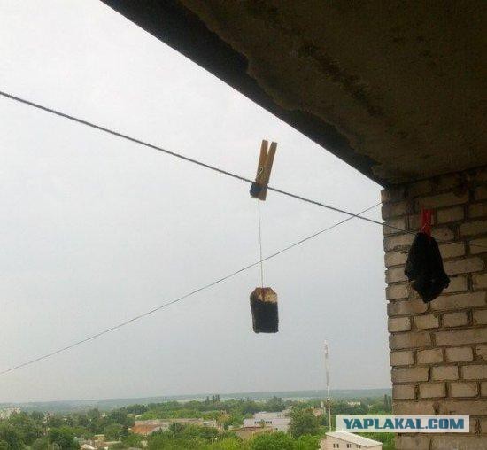 Как я разгадал секрет освежителя воздуха AirWick…