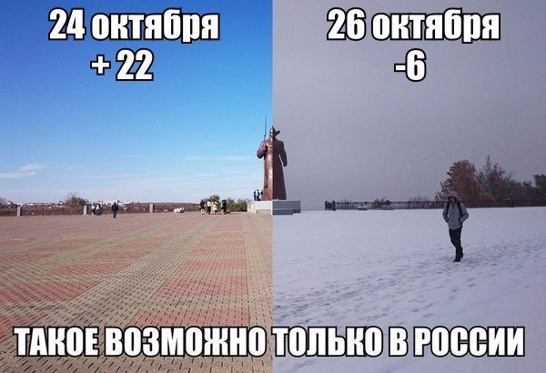 Порция картинок из сети.