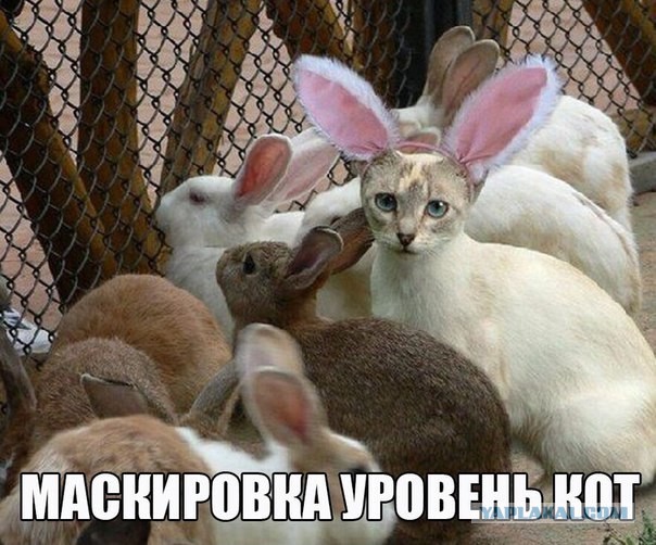 Картинки и гифки для маленькой пятницы