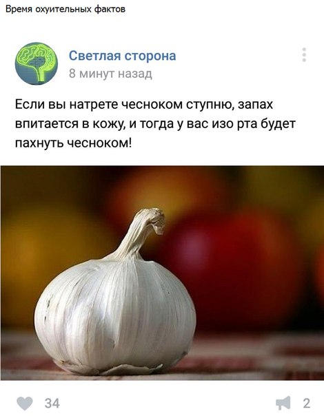 Тупые люди. Тупые животные. Тупые высказывания. Все тупые!