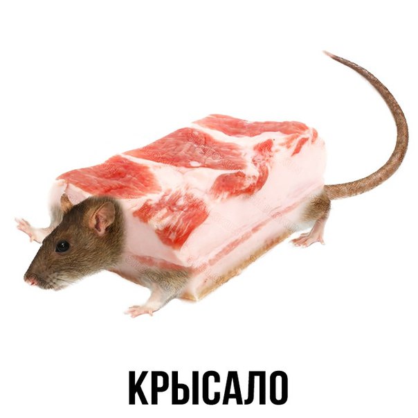 Доза раскумара на новую неделю