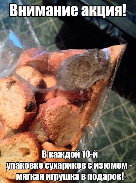 Порция абсурдного юмора на следующую неделю
