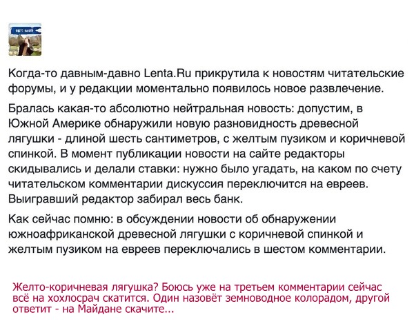 Подборка интересных и веселых картинок