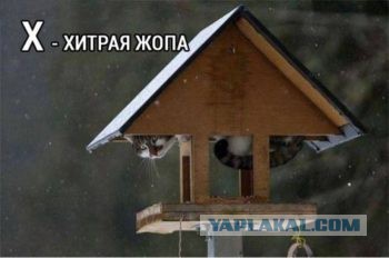 Всяко-разно из сети