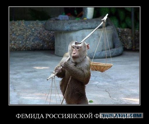 Свидетели изнасилования ребенка в Волгоградской области осуждены за жестокое избиение подозреваемого