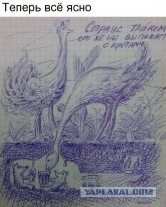 Забавные комментарии, шутки и фразы из этих ваших интернетов
