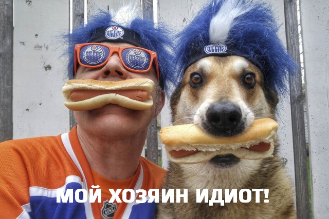Подборка интересных и веселых картинок