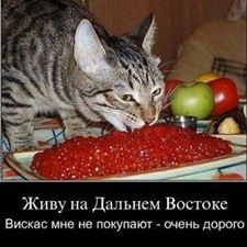 Немного картинок в этот понедельник