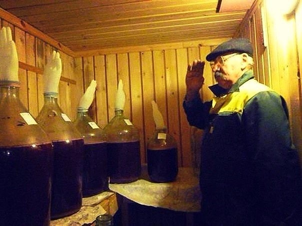 Лента прикольных картинок