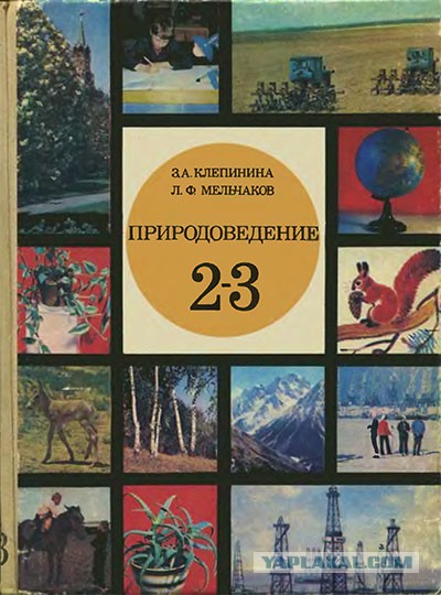 Россияне назвали самые бесполезные предметы в школе