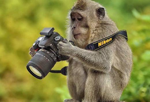 Истории знаменитых фотоснимков всего мира