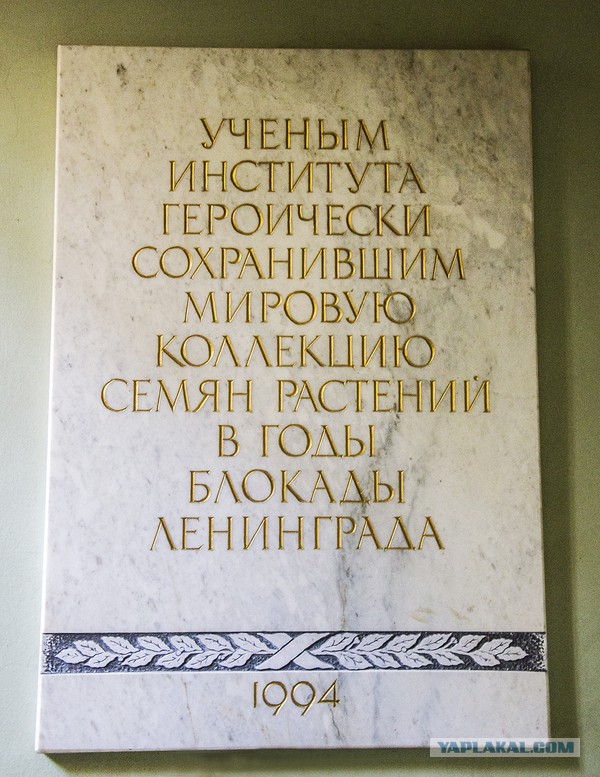 Резервная копия мира