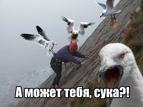 Про странные мужские традиции