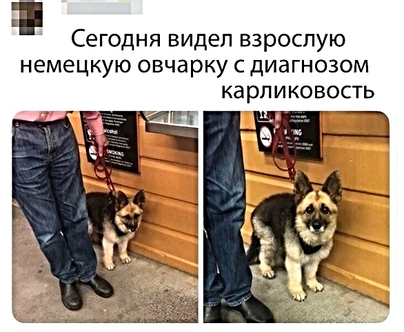 Картинки с надписями,истории и анекдоты