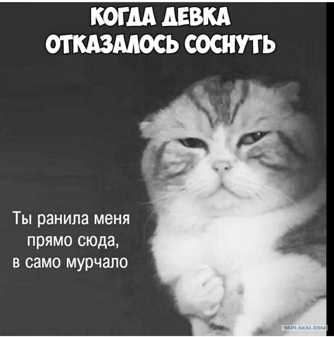 Варя мемы. Ты женат. Если захочешь позвони. Настоящая любовь цитаты. Этот город слишком мал для нас двоих.