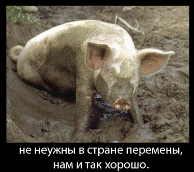 Результаты дрессировки: до и после