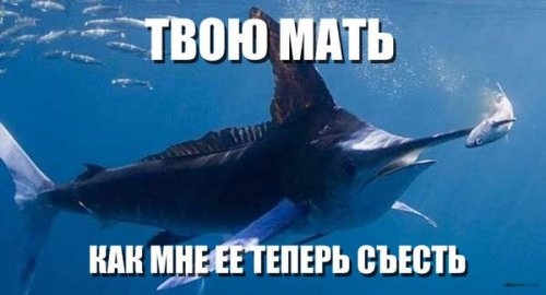Немного картинок для настроения 16.11.19