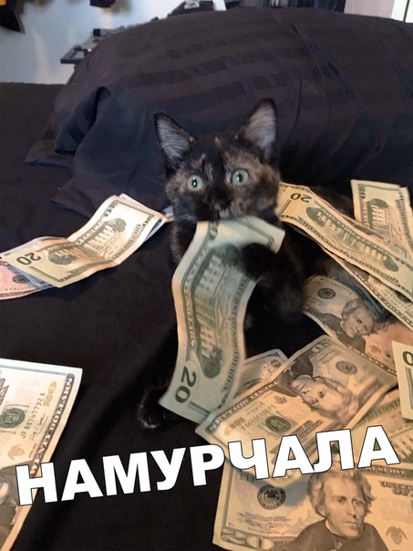 Подборка так себе картинок