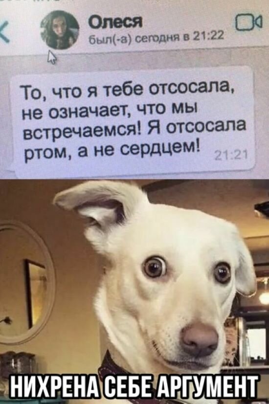 Свинегрет: картинки, надписи и прочее 03.02.20