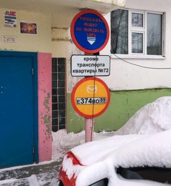Кучка картинок №9