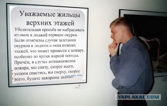 Фотожаба: Молодой ценитель