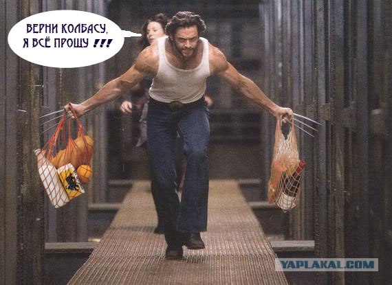 Боярский россомаха