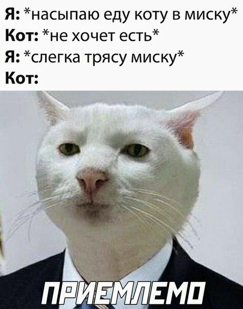 Немного картинок для настроения 20.10.20