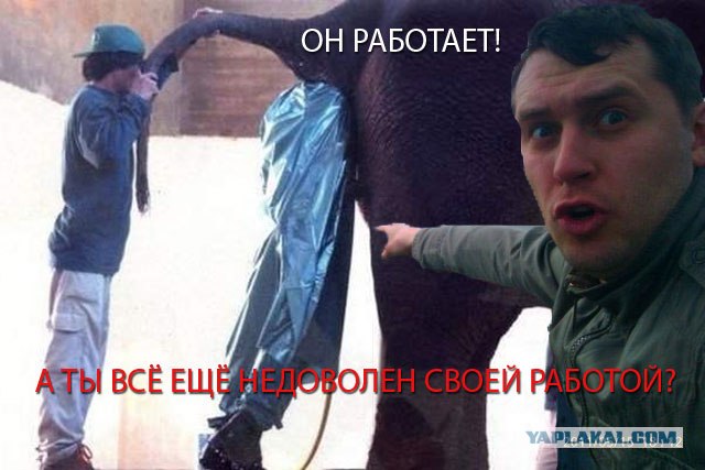 Конкурс фотожабы: Пришельцы среди нас